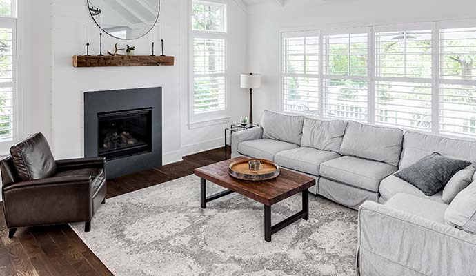 Gray medallion rug in a living room