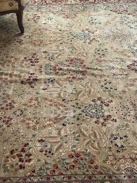 9'x12' rug for living room