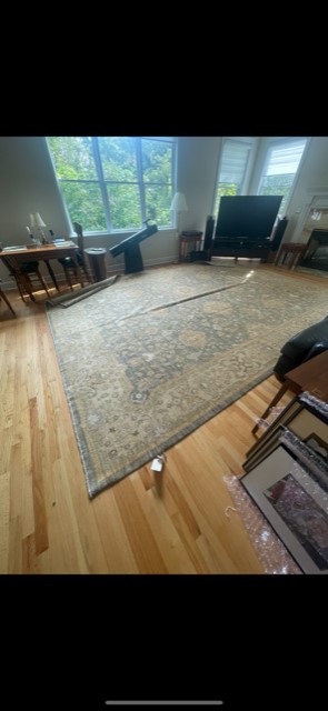 12'x15' living room rug
