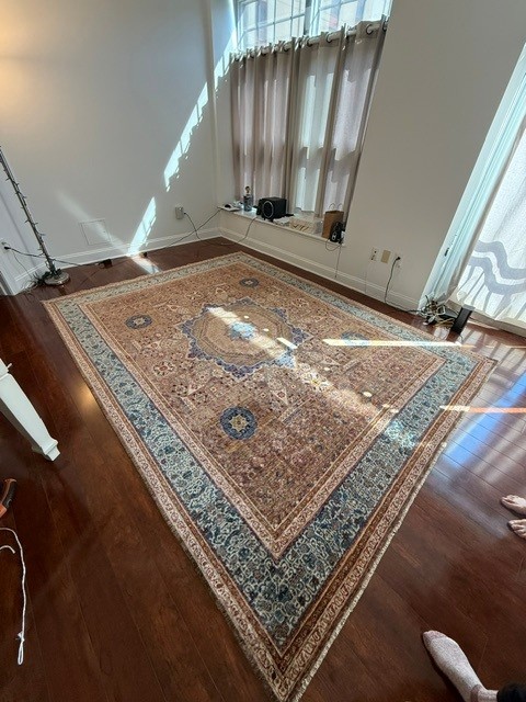 8'x10' living room rug