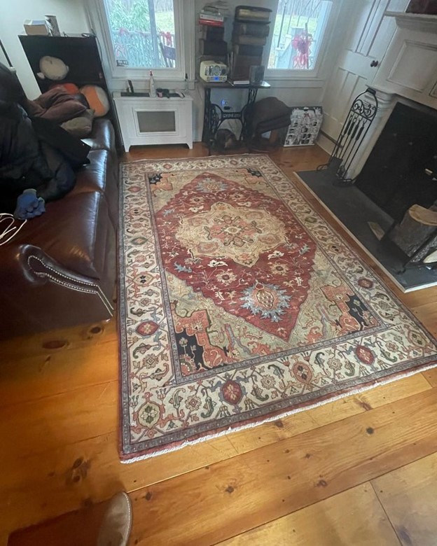 Heriz Reserve rug in 6x9