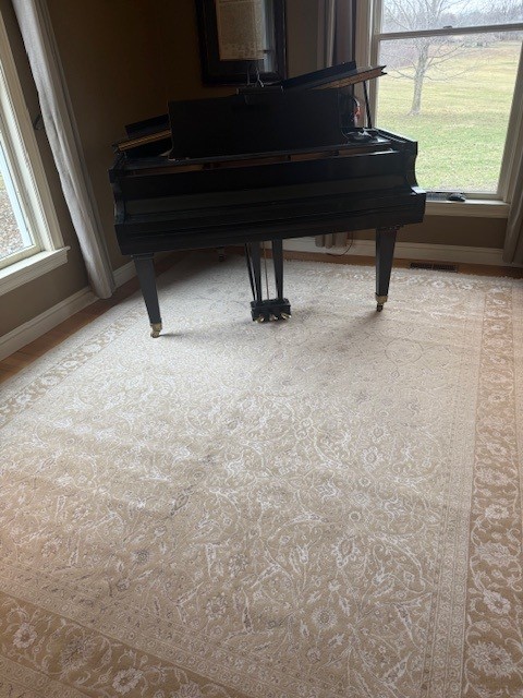 8'x10' living room rug