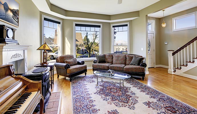 European rug placed in a living room