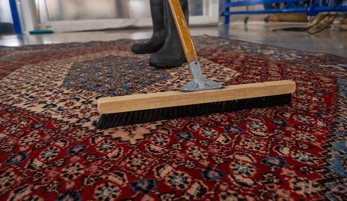 Professional area rug cleaning service