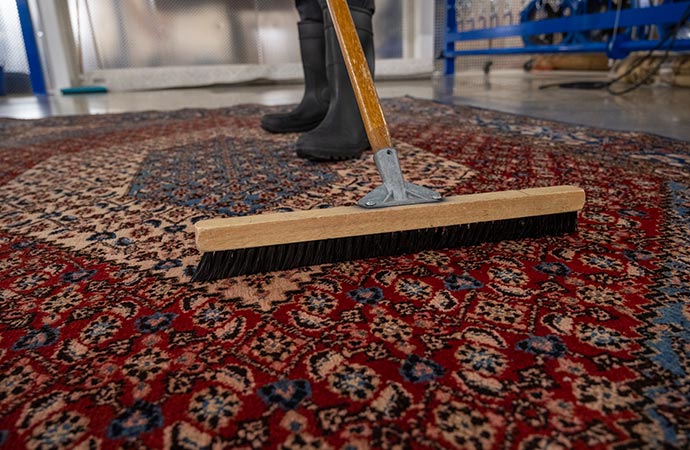 Rug cleaning in progress.