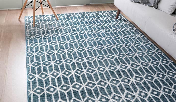 Transitional rug in living room